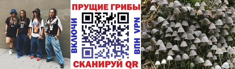 Галлюциногенные грибы Cubensis Орск